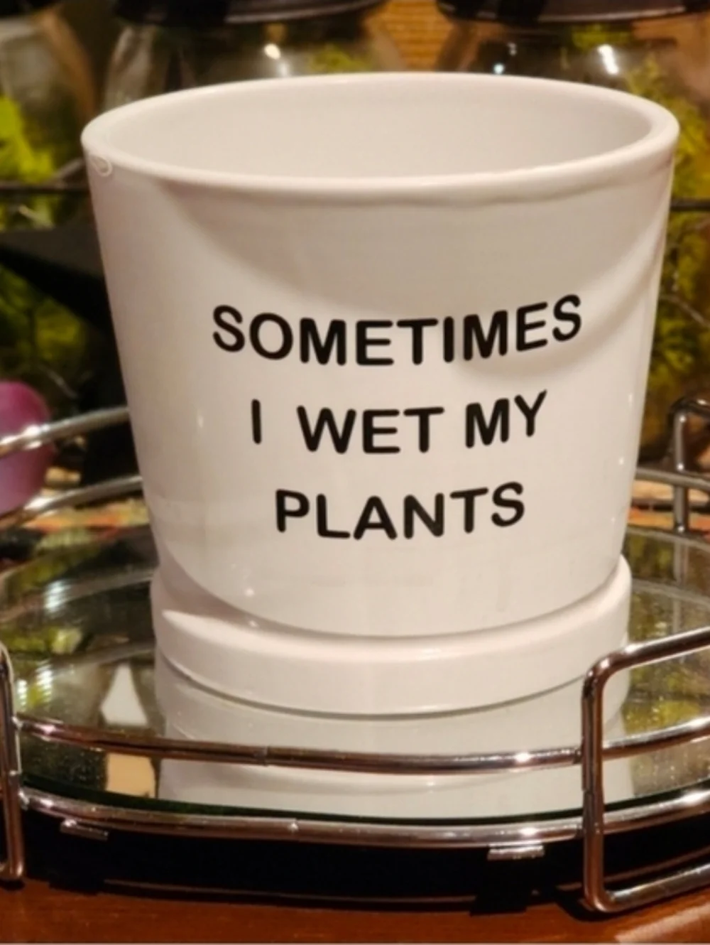 White Ceramic Planter Pencil Cup - 'Sometimes I Wet My Plants'